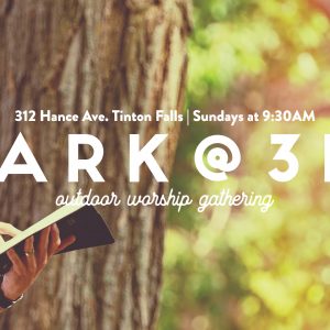 Park Sunday Gatherings