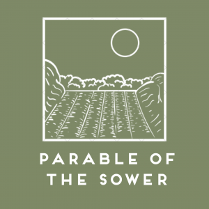 The Parable of The Sower (Part 3): Deep Faith