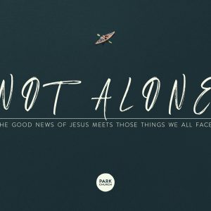 Not Alone: How the Good News of Jesus Meets Us in Those Things We All Face