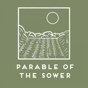 The Parable of The Sower (Part 6): The Crop